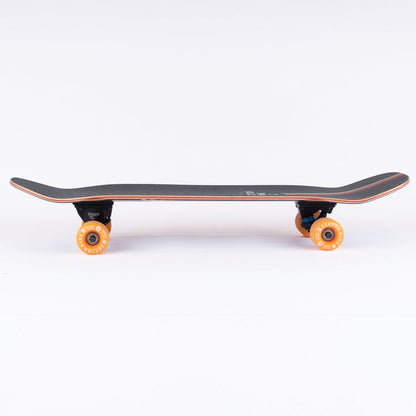 Simulador de Surf Sector 9 Abandon Shredder Completo